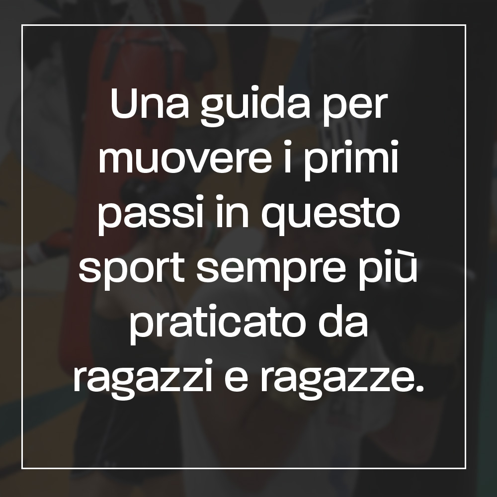 Guida pugilato